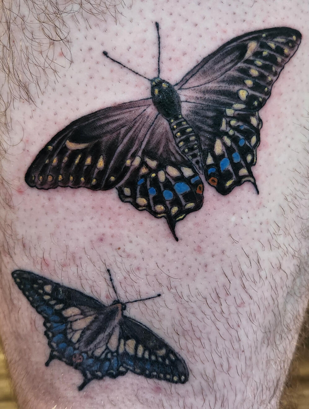 Custom Butterflies